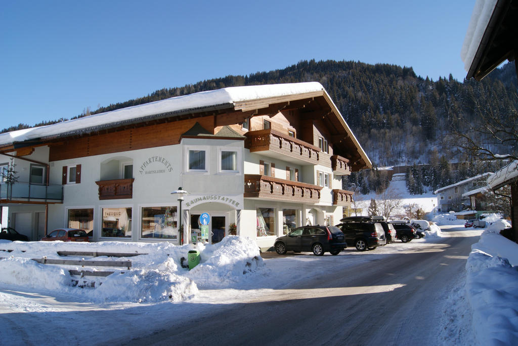 Apartments Hartsleben Flachau Buitenkant foto